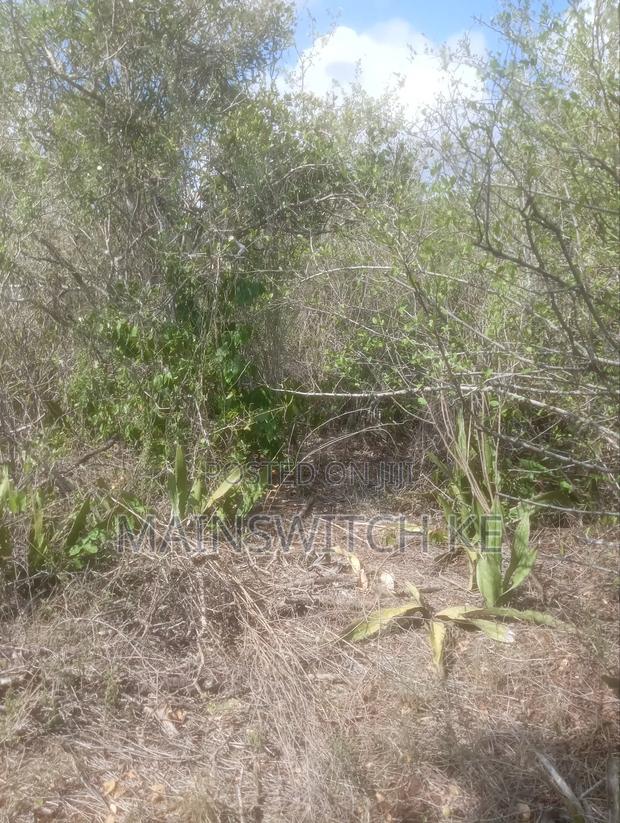Own 343 Acres With Ready Tittle Deed Just 2km From The Main Road - thumbnail 2