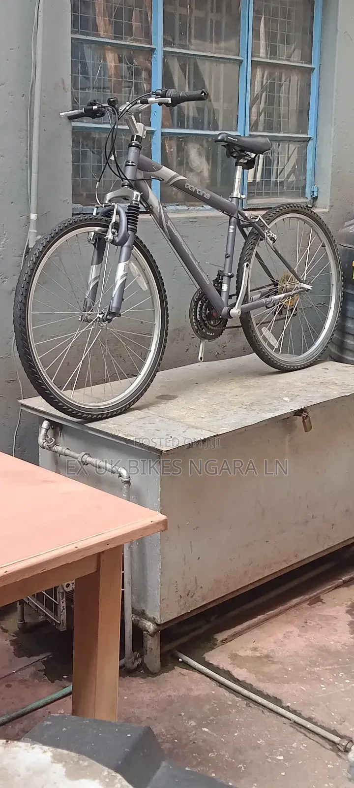 Ex Uk Size 26 Apollo Bicycle for Adults