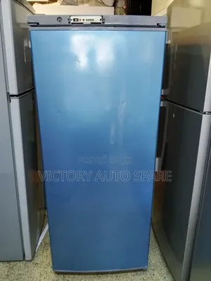 Exuk Upright Freezer(300l)