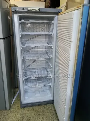 Exuk Upright Freezer(300l)