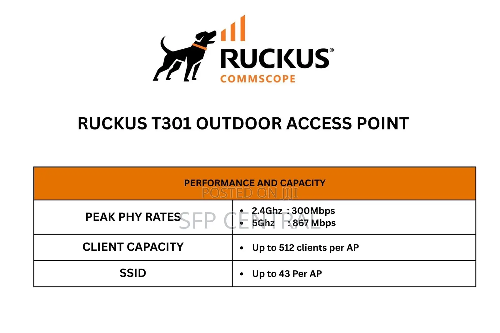 Ruckus T301outdoor Wireless Access Point