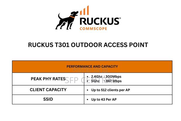 Ruckus T301outdoor Wireless Access Point - thumbnail 10