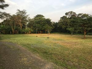 Prime Land for Sale | Muthaiga North - main view
