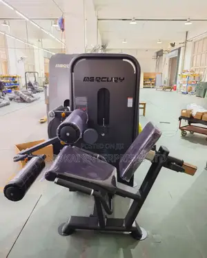 Leg Extension, Leg Curl And Flexion Training Commercial Machine