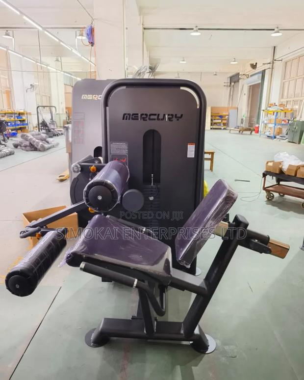 Leg Extension, Leg Curl And Flexion Training Commercial Machine