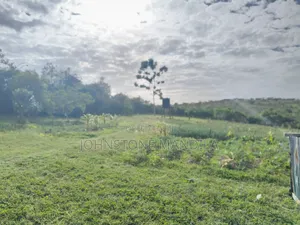 10 Acres Available in Kiserian (14 Km From Town)
