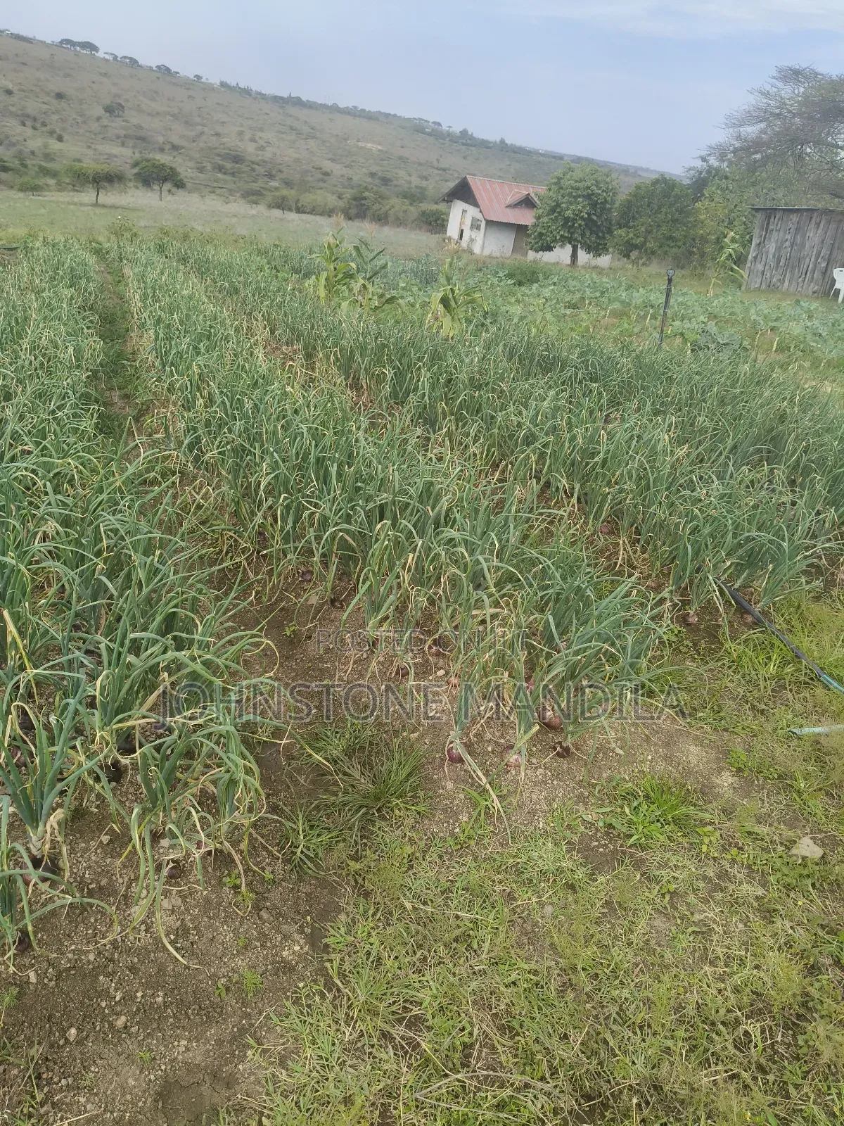 10 Acres Available in Kiserian (14 Km From Town)