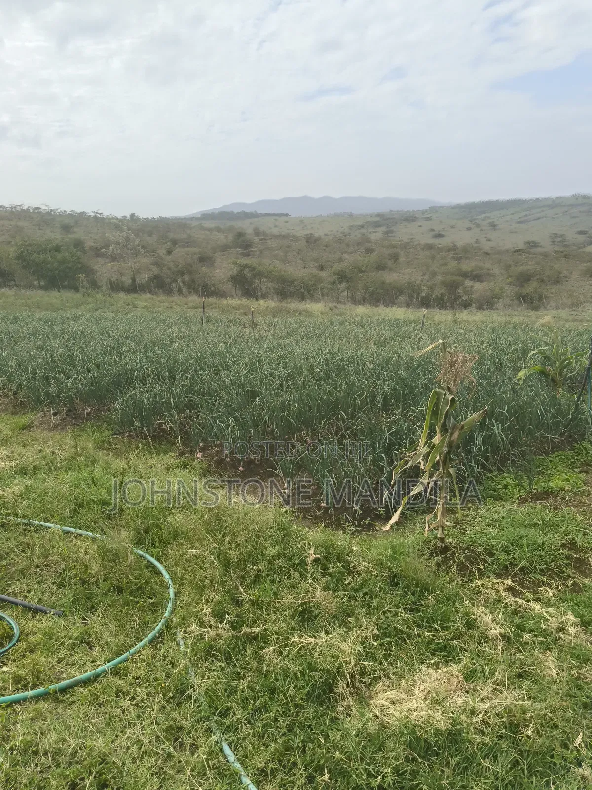 10 Acres Available in Kiserian (14 Km From Town)