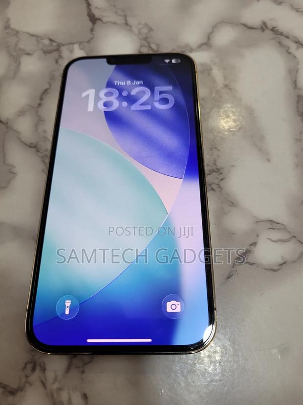 Apple iPhone 13 Pro Max 256 GB Gold - thumbnail 3