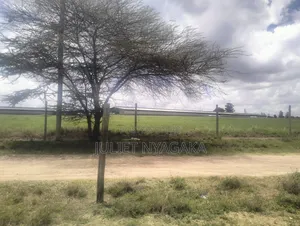 Plots for Sale