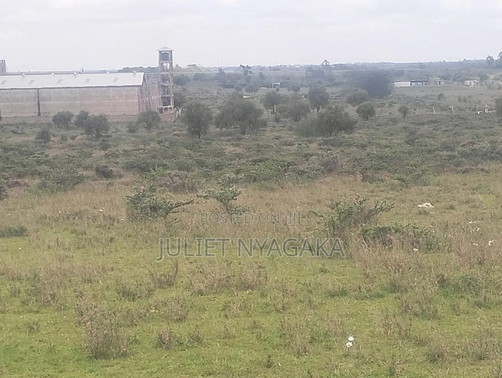 Plots for Sale