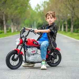 Mini Bike for Young Riders
