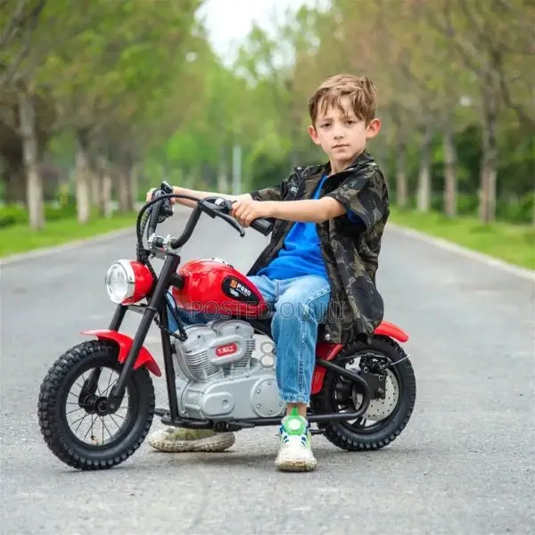 Mini Bike for Young Riders