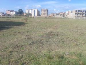 Thika Town Prime Land - thumbnail 2