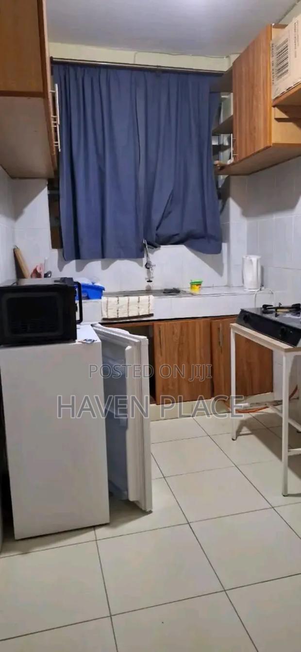 Fully Furnished Spacious One Bedroom in Machakos CBD - thumbnail 7