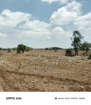 10 Acres Land