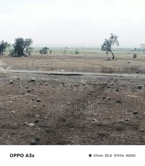 10 Acres Land