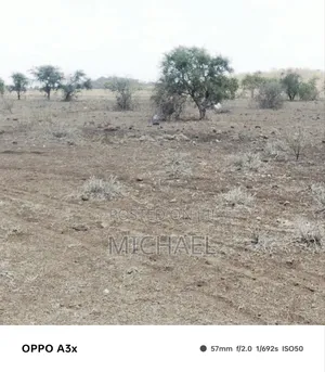 10 Acres Land