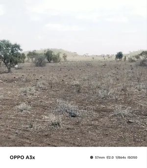 10 Acres Land