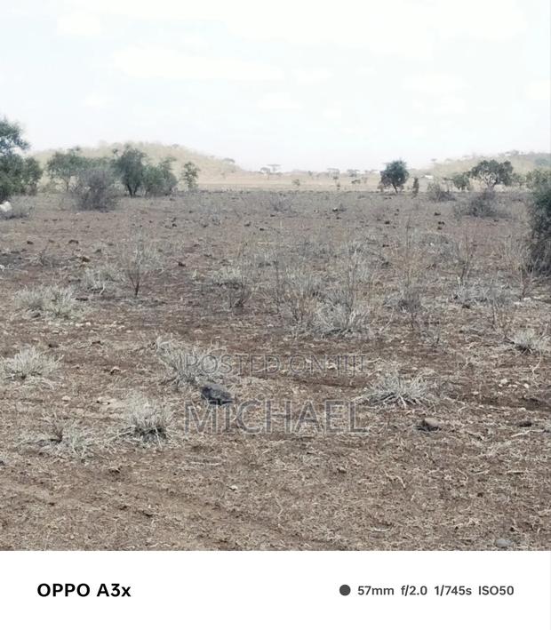 10 Acres Land - thumbnail 8