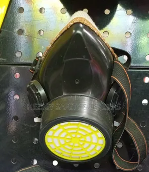 Single Respirator Mask (Np305)