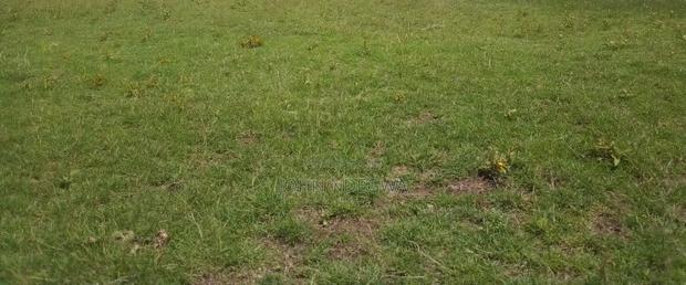 Kiawara Nyeri Plots