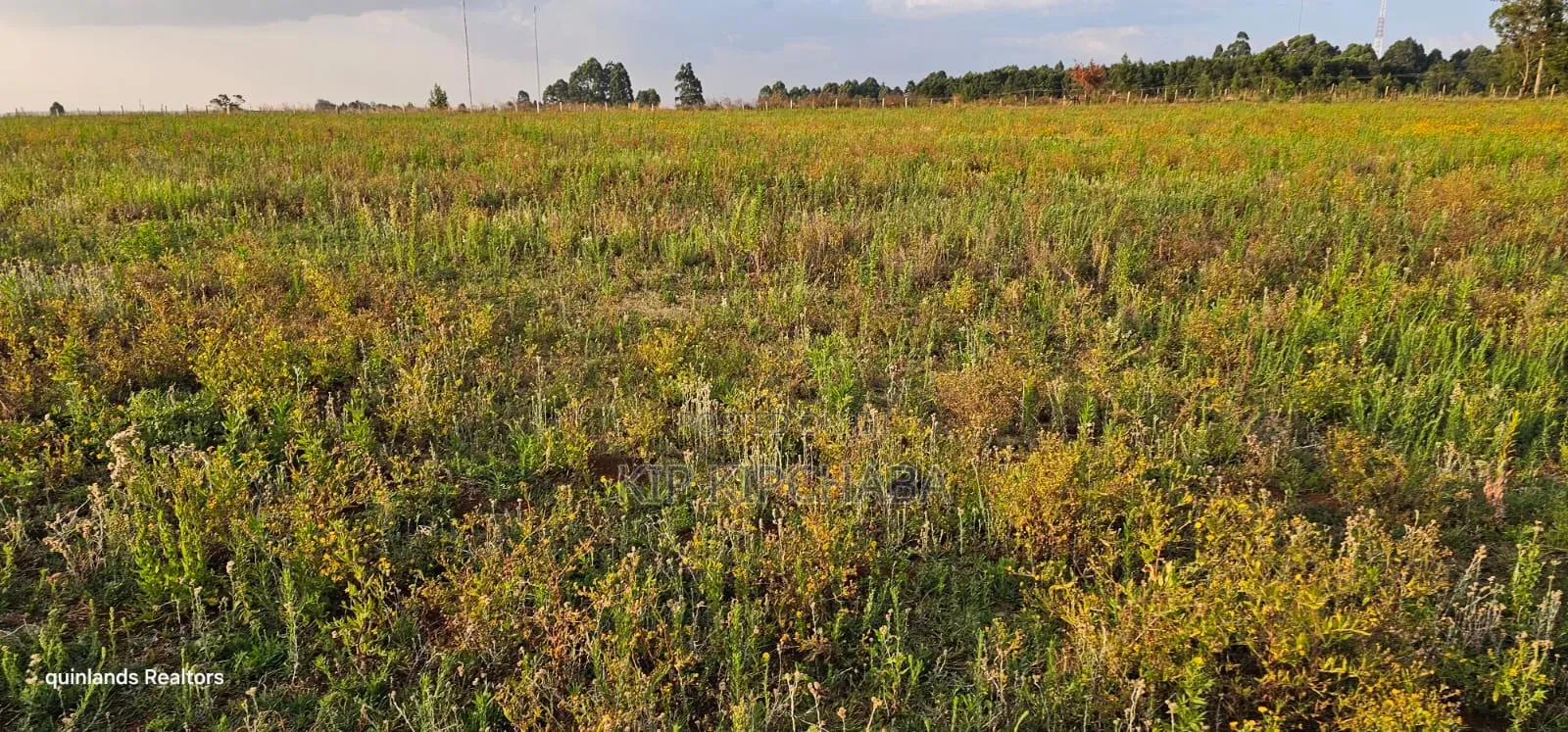 2 Acres for Sale Kapjaro Sergoit in Moiben Eldoret