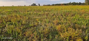 2 Acres for Sale Kapjaro Sergoit in Moiben Eldoret