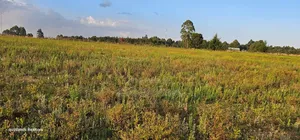 2 Acres for Sale Kapjaro Sergoit in Moiben Eldoret