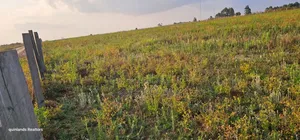 2 Acres for Sale Kapjaro Sergoit in Moiben Eldoret