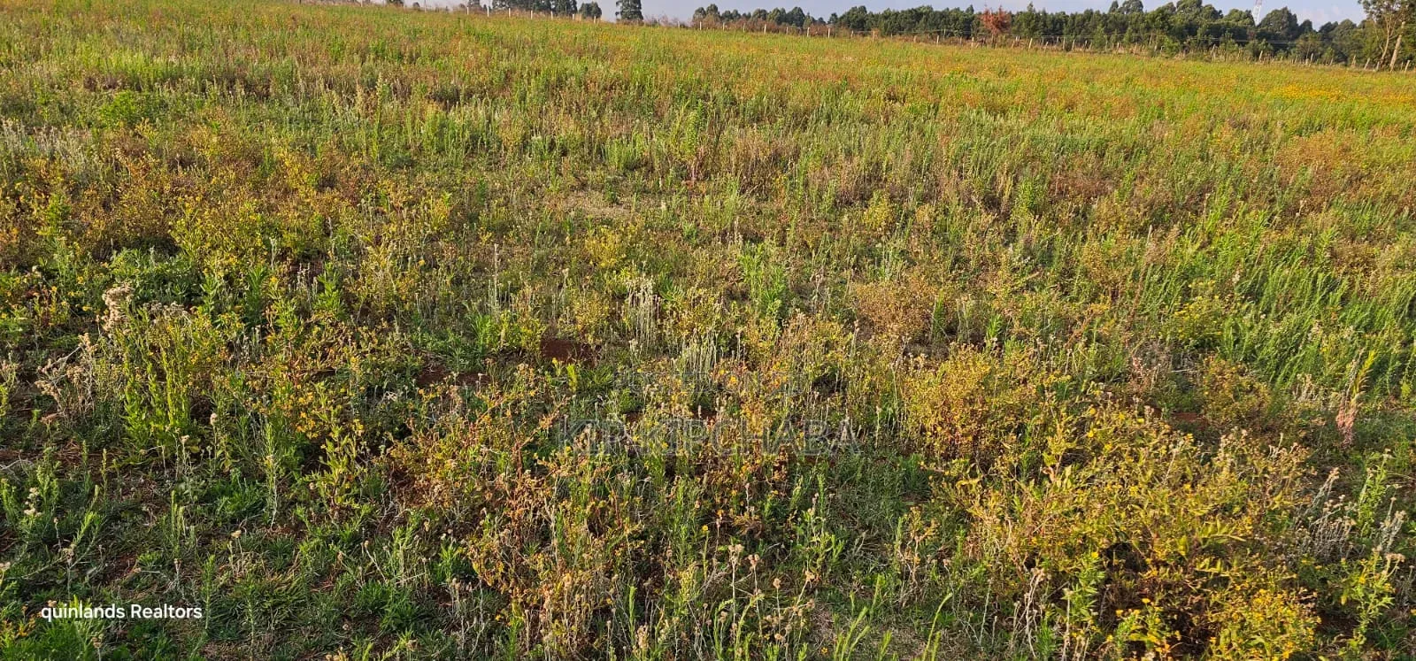 2 Acres for Sale Kapjaro Sergoit in Moiben Eldoret