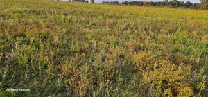 2 Acres for Sale Kapjaro Sergoit in Moiben Eldoret