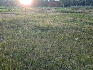 1/8 Acre Gitaru Near Western Bypass - thumbnail 2