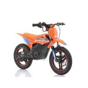 Electric Dirt Bike