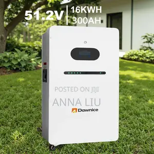 16kwh Lifepo4 Home Energy Storage Battery With Smart BMS