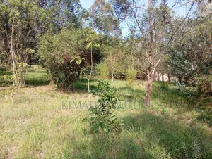 A Very Prime Residential 2 Acre With Plenty of Trees in Karen.