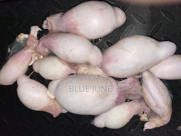 Goat Testicles - main view