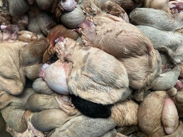 Goat Testicles - thumbnail 5