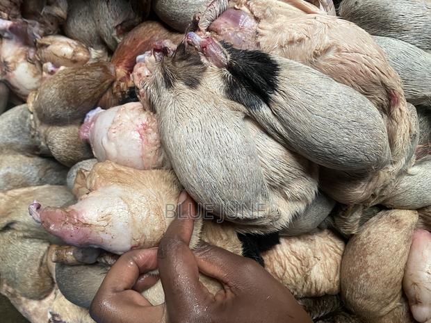 Goat Testicles - thumbnail 3