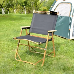 Outdoor Kermit Camping Chair