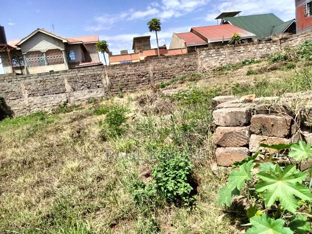 Prime Plots at Juja