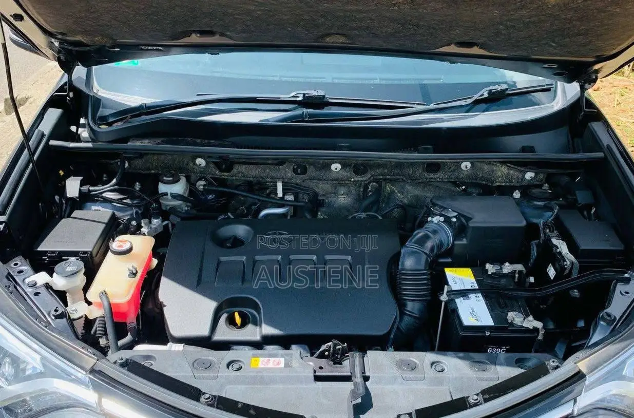 Toyota RAV4 2018 Gray