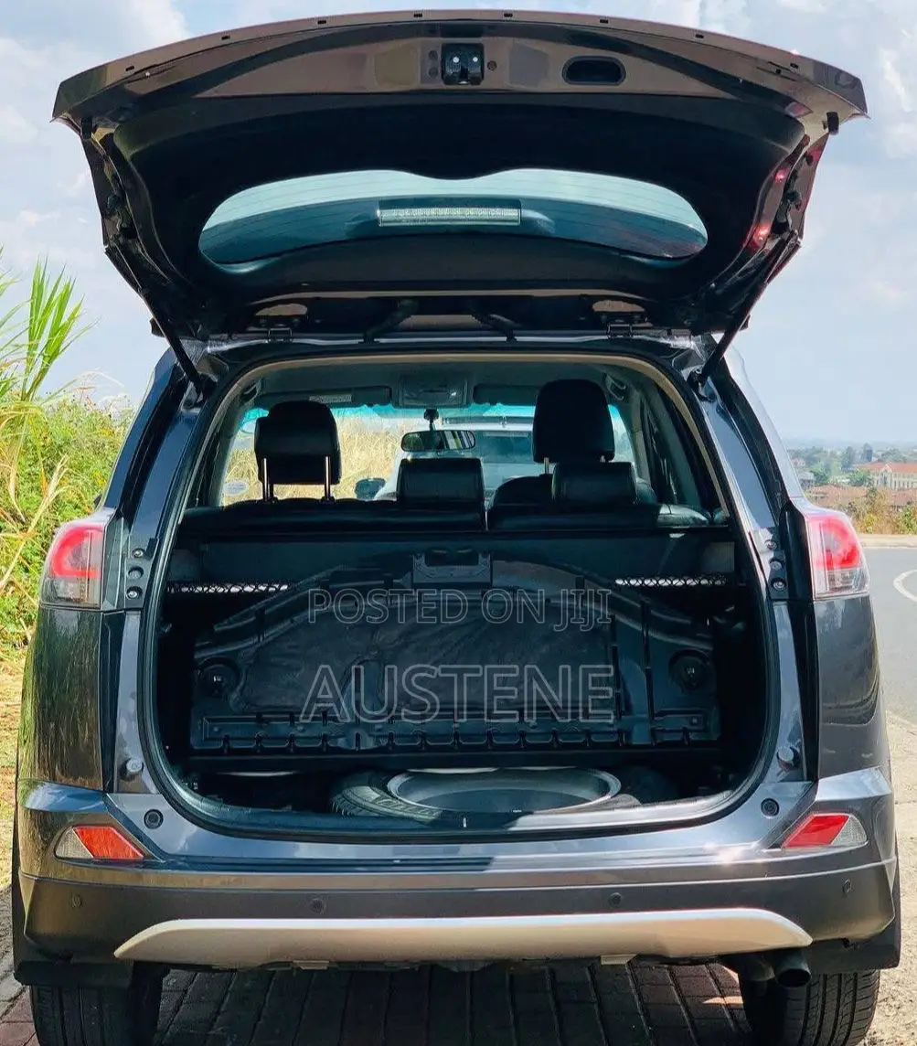 Toyota RAV4 2018 Gray