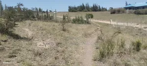 50*100 Land in Kiserian