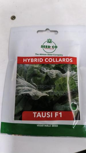 Tausi F1 Hybrid Collards 10gms