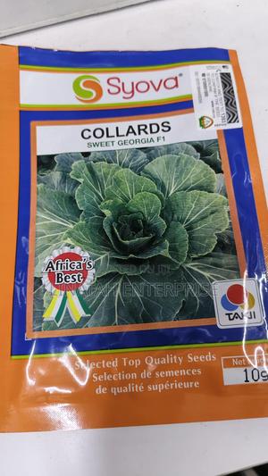 Sweet Georgia Hybrid Collard 10gms - main view