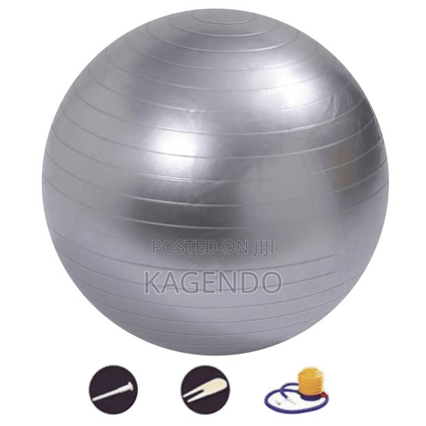 Swiss Ball – Fitness Rehab Exercise Ball - main view