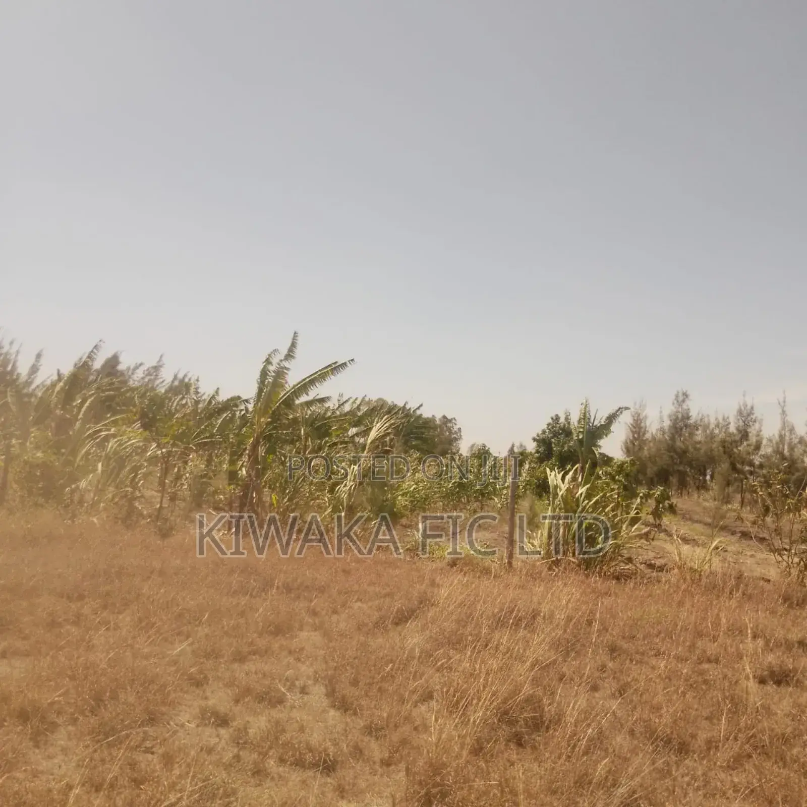 1.25 Acre Near Komarock Shrine for Sale