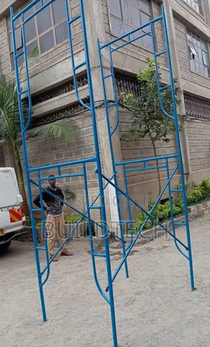 Scaffolding Ladder-2 Height