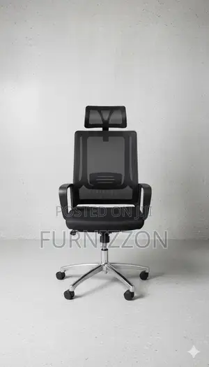 Executive Ergonomic Mesh Chair With Adjustable Height